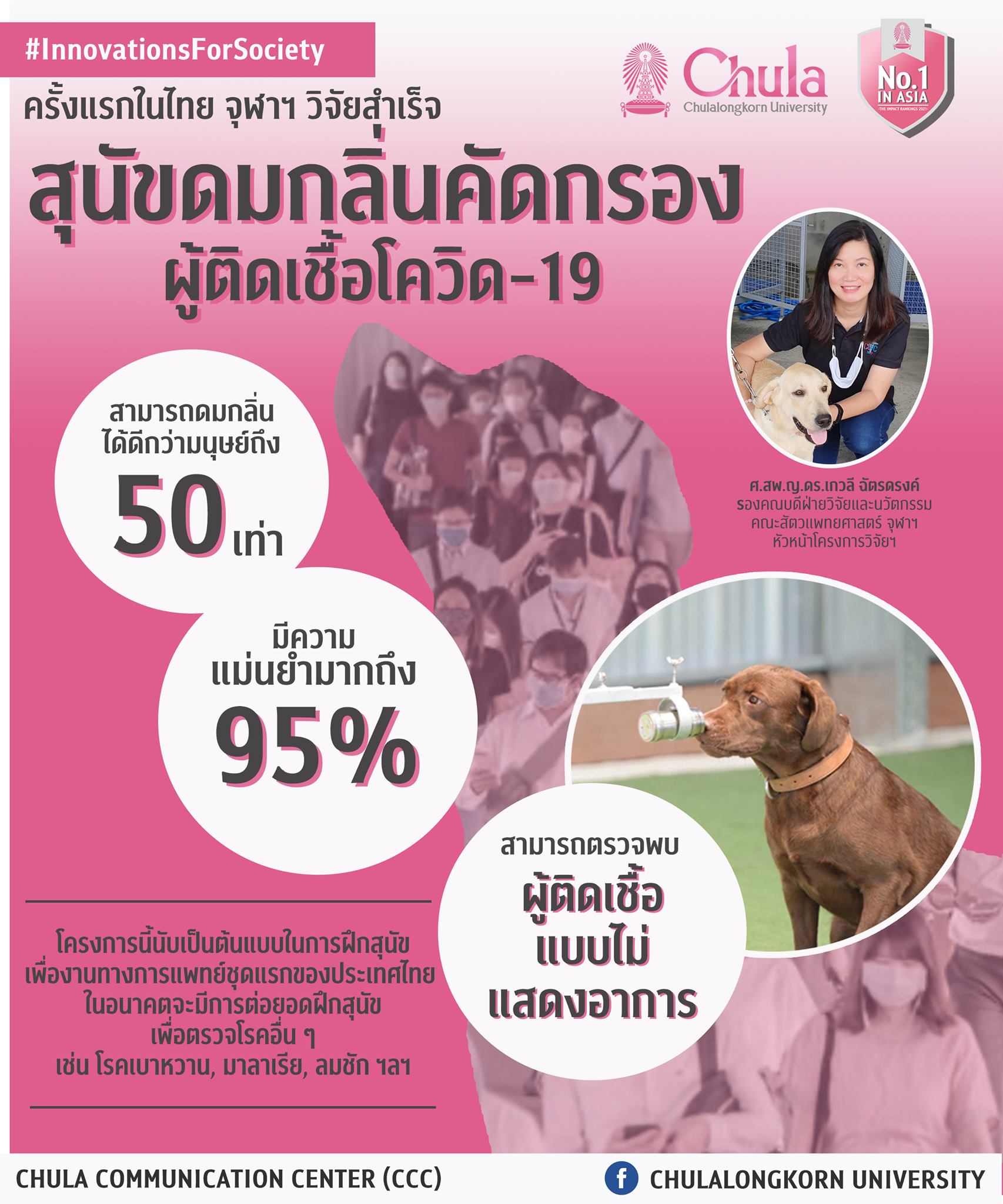 มหาวิทยาลัยจุฬาลงกรณ์ ประสบความสำเร็จในการฝึกสุนัข 3 ตัว เพื่อช่วยเร่งกระบวนการคัดกรอง COVID-19。（รูปภาพ/นำมาจาก Facebook  Chulalongkorn University）