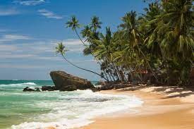 Sri Lanka Bebaskan Visa untuk Turis Asal Indonesia  (Sumber foto : The Times)