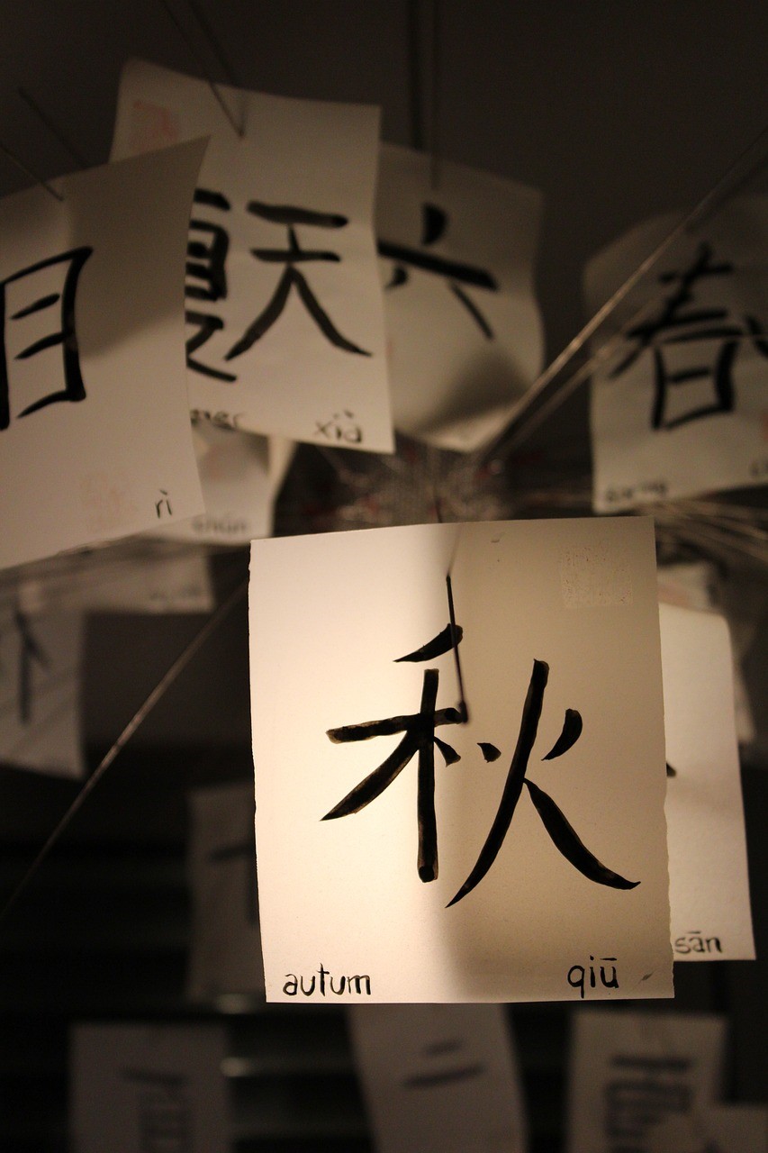 5 Tips Belajar Bahasa Mandarin dengan Cepat  (Sumber foto : Pixabay)