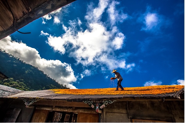 Golden roof (黃金屋頂) Photo courtesy of 黃榮群