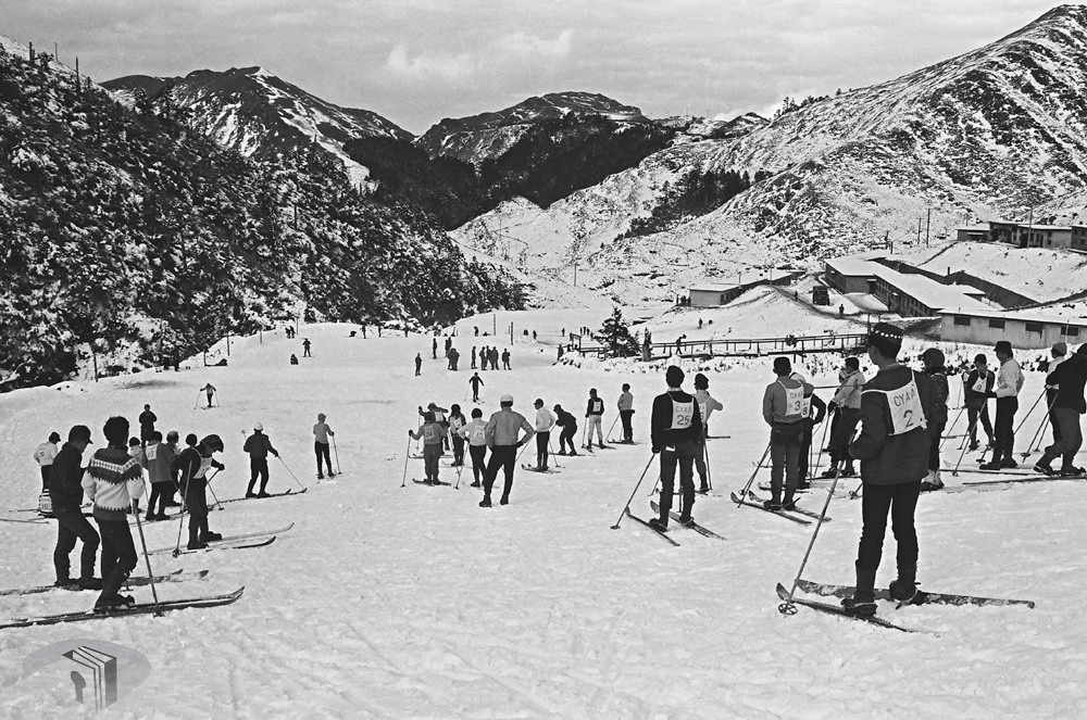 國家檔案記錄台灣歷史　合歡山曾建「戶外滑雪場」（圖／翻攝自國發會臉書）