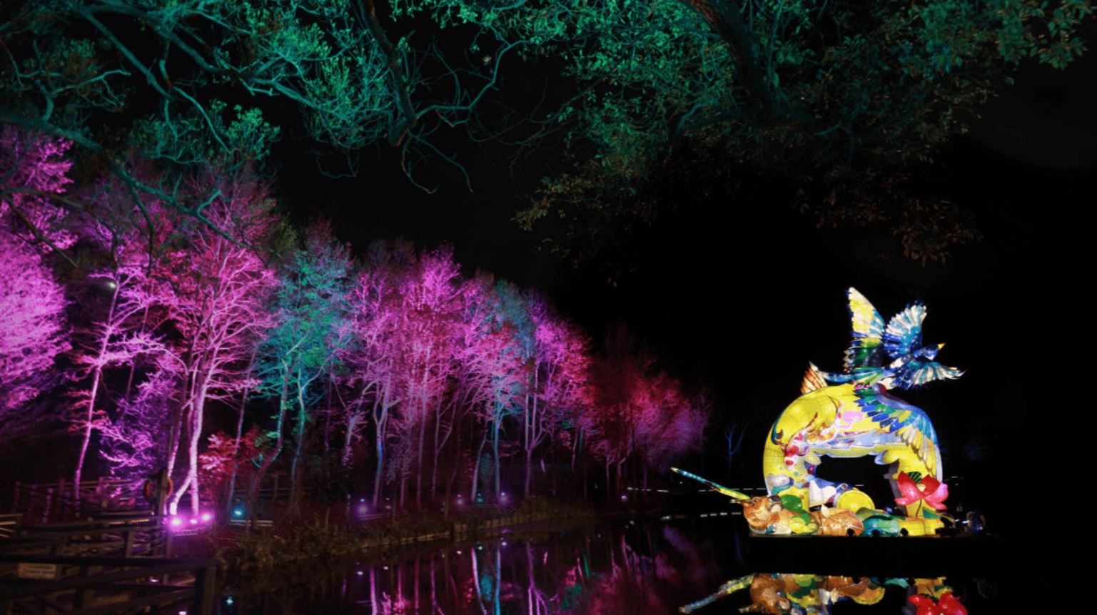 Pameran terbatas yang dipersiapkan dalam rangka Festival Light Coming di Hsinchu. Sumber: Pemerintah Kota Hsinchu 