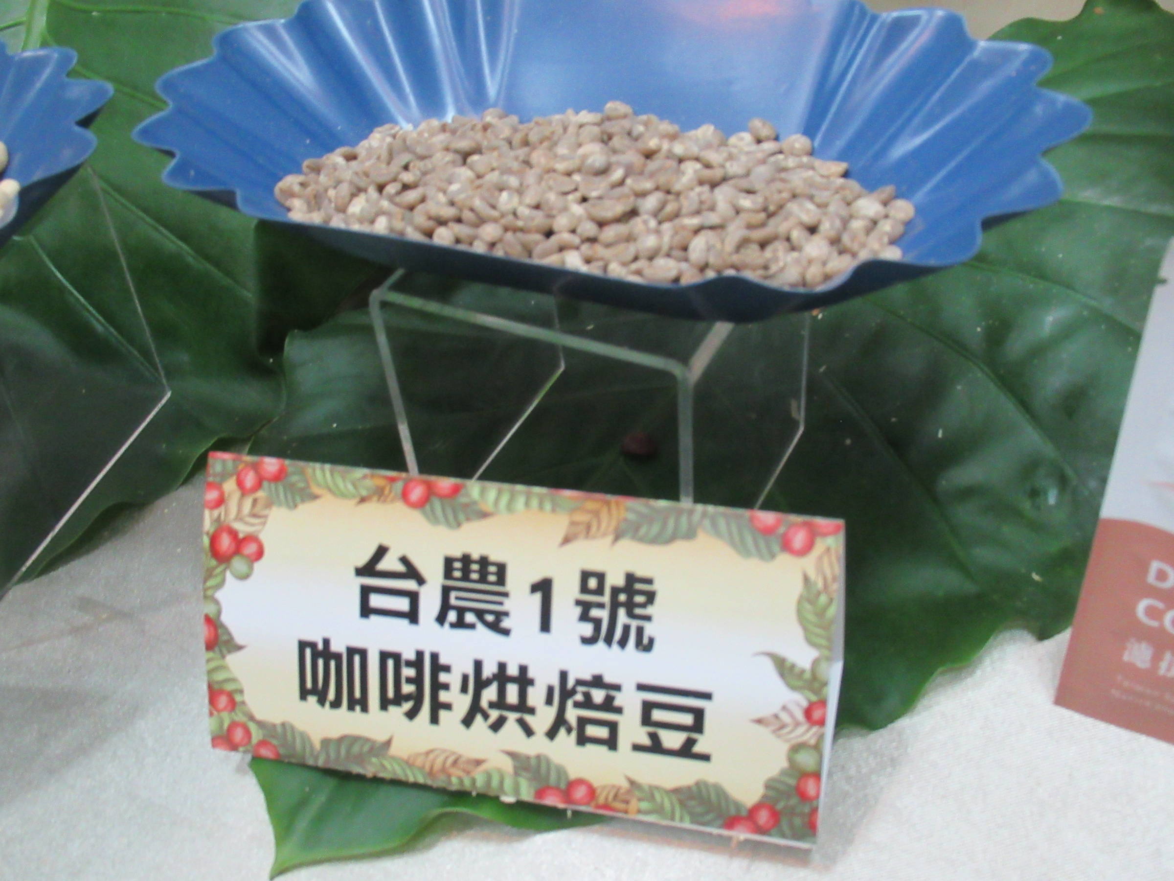 “Đài Nông số 1”- Giống cà phê bản địa đầu tiên do Đài Loan tự lai tạo. (Nguồn ảnh: Đài Phát thanh Giáo dục Quốc gia)