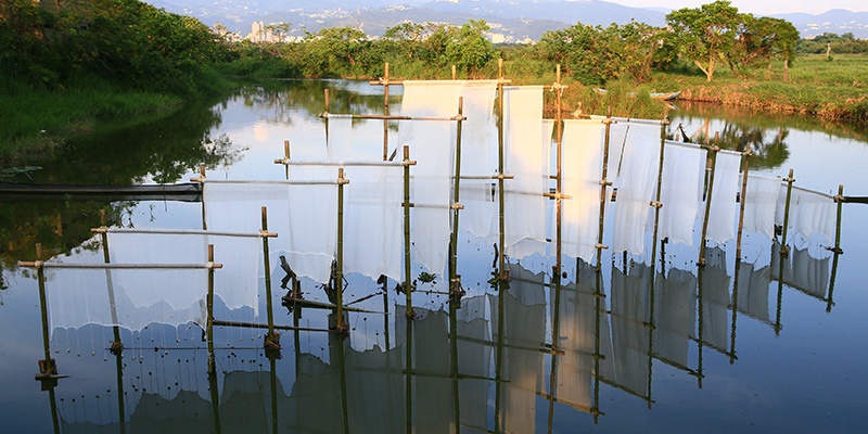 This year marks the 16th year of the annual nature arts exhibition of the park with large-scale artworks and installations. (Photo / Provided by the 2021 Guandu x Bird x Art)