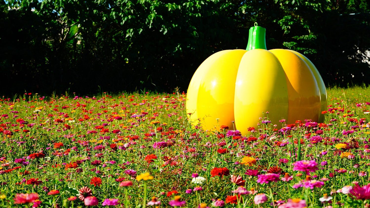 The gigantic pumpkin was relocated from the Meiti Riverside Park. (Photo / Provided by the Taipei City Government)