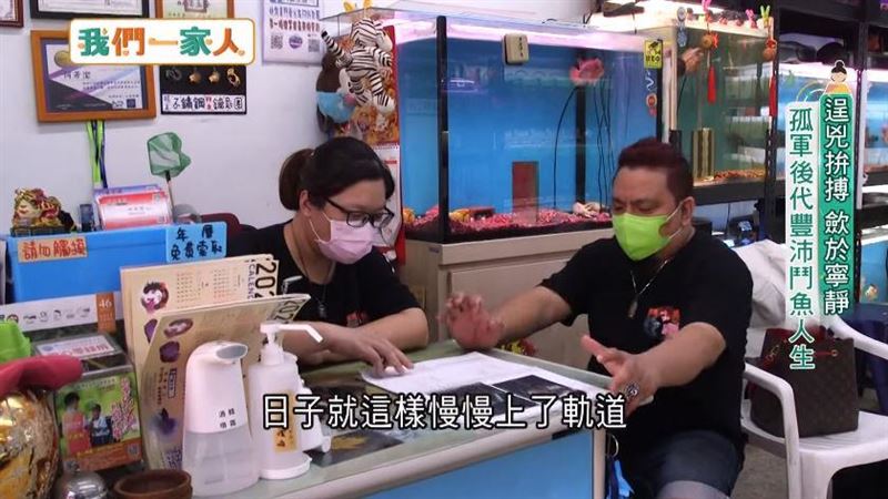 泰北孤軍後代趙鴻寶與太太在臺中開起鬥魚專賣店。（圖／三立電視台提供）