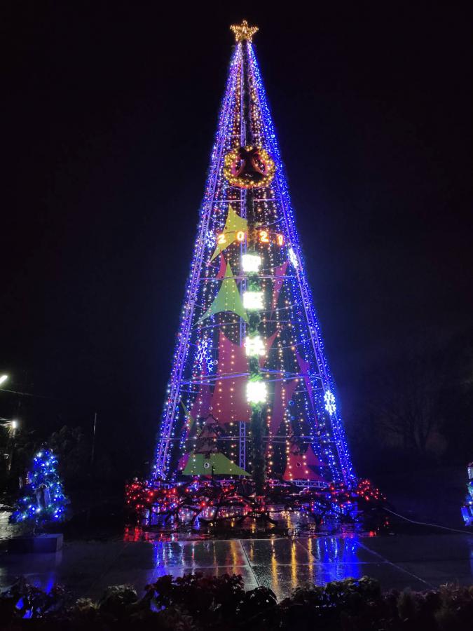 南投縣信義鄉羅娜部落設置全台最高聖誕樹。（圖／信義鄉公所提供）
