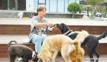 Show Lo’s mom has rescued more than a thousand stray dogs in the past 40 years. (Photo / Provided by Show Lo)