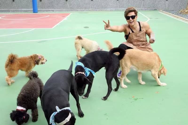 Show Lo often helps take care of the stray dogs in the animal shelter. (Photo / Provided by Show Lo)
