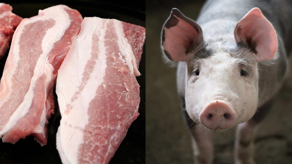 越南已撲殺23萬頭豬，導致豬肉價格飆升。 圖／翻攝自Pixabay圖庫