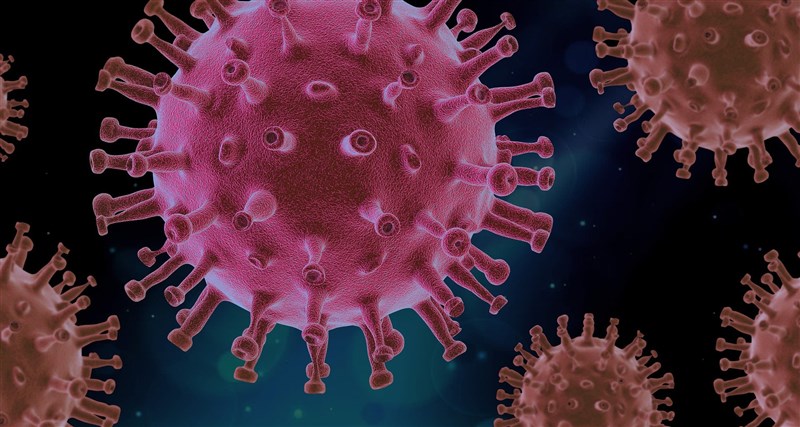 Singapore reports that 16 variant virus strains have been found (Image courtesy of Pixabay)