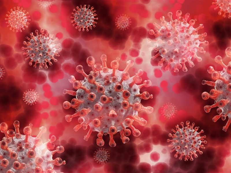 ไวรัสเดลต้าและแคปปาทำลายล้างโลก รูปภาพ/นำมาจาก Pixabay