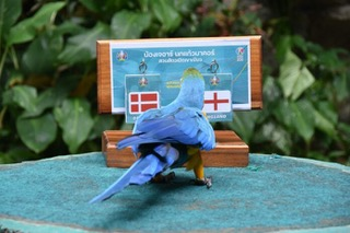  “เจอาร์” นกแก้วมาคอร์ สวนสัตว์เปิดเขาเขียว เลือก “อังกฤษ” เข้าชิงบอลยูโร／ภาพจาก ข่าวสด