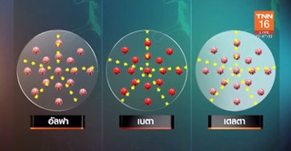 สายพันธุ์เดลตา สายพันธุ์อัลฟา สายพันธุ์เบตา ／ภาพจาก TNN16