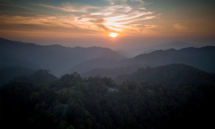 雙語新聞－16年的等待，泰海“Kaeng Krachan森林集團”已被登記為世界遺產 16 ปีที่รอคอย ไทยเฮ "กลุ่มป่าแก่งกระจาน" ได้ขึ้นทะเบียนเป็นมรดกโลกแล้ว