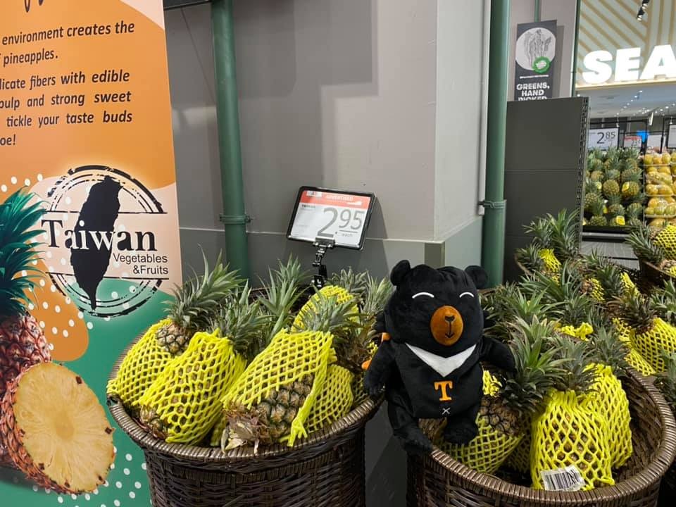 The quality of Taiwan pineapple is guaranteed, and the export to Singapore is praised. Photo/Retrieved from "Central News Agency"