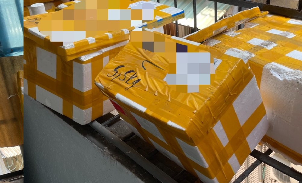 The Kaohsiung City Special Task Force conducted a search of the residence of a woman surnamed Ho and found an empty Styrofoam box on the spot. (Photo/Provided by the Kaohsiung City Special Task Force)