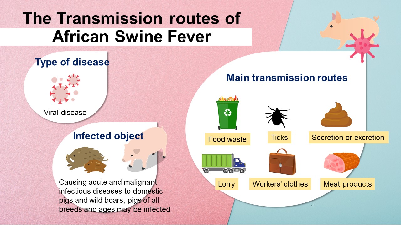 Preventing the Spread of African Swine Fever To Protect Taiwan’s Pigs and Related Industry Together 