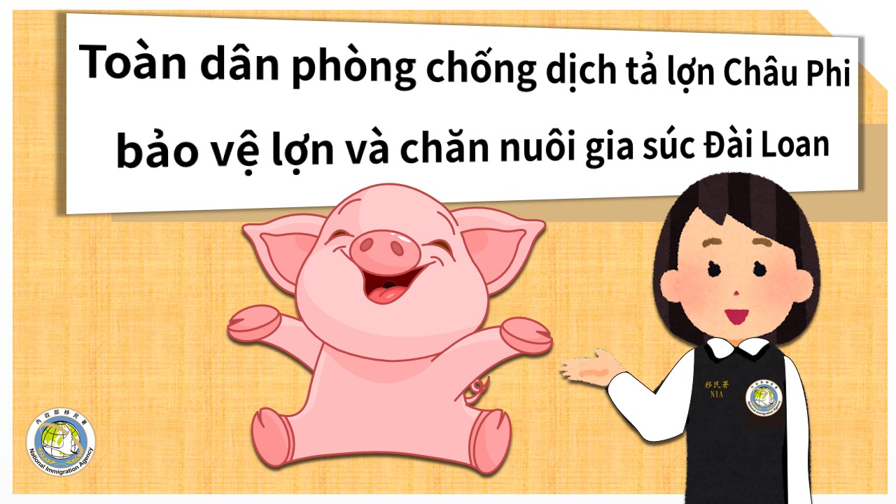 Toàn dân phòng chống dịch tả lợn Châu Phi, bảo vệ lợn và chăn nuôi gia súc Đài Loan
