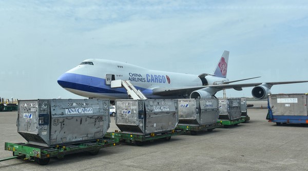 Under the epidemic, the "global aviation industry" is slow. Photo/Provided by China Airlines