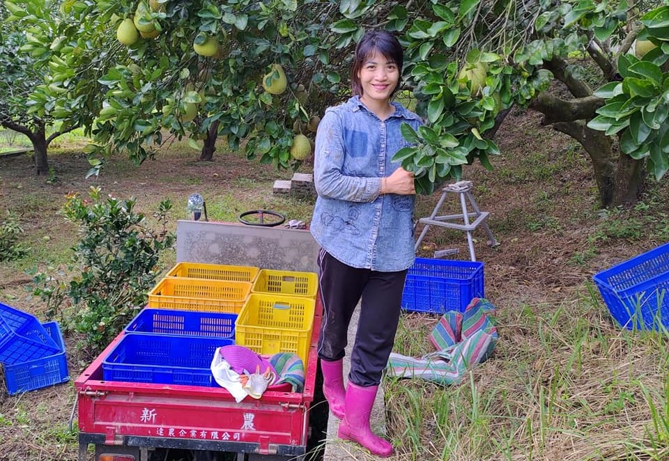 黎芸榛嫁到台灣後，展開農家生活。 圖／黎芸榛提供