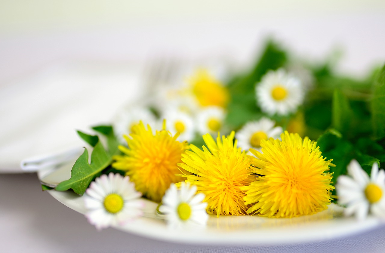 4種可食花卉 好處竟然這麼多（圖片來源：Pixabay）ดอกไม้กินได้ 4 ชนิด มีประโยชน์มากมาย（ภาพดึงมาจาก：Pixabay）
