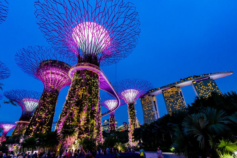 Singapore's Gardens by the Bay creates an "Orchid Haven". Photo/Provided by Singapore Tourism Board