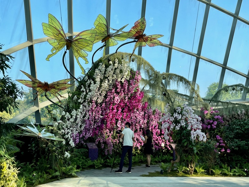 The Taiwan Orchid Exhibition enjoys an international reputation. Photo/Retrieved from the "Central News Agency"