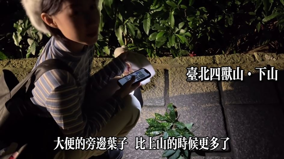 Trong quá trình leo núi, trên đường đi bỗng nhiên xuất hiện vài chiếc lá cây phủ trên mặt đất. (Nguồn ảnh: kênh YouTube  “廖小花”)