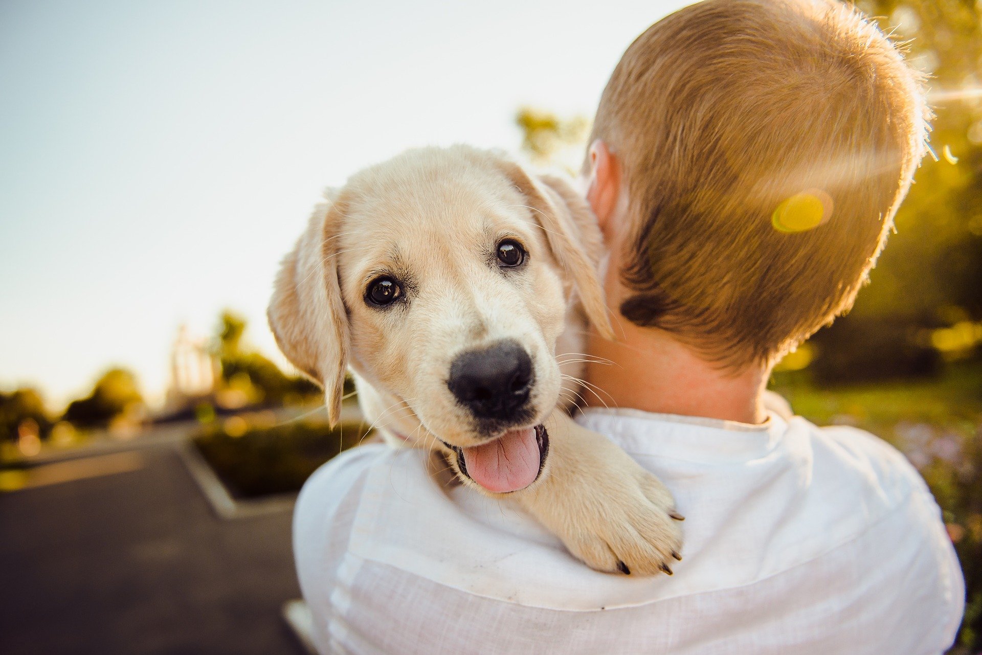 Filipina actress Kathryn Bernardo brings her pet Snowy for the first boat ride. (Photo / Retrieved from Pixabay)