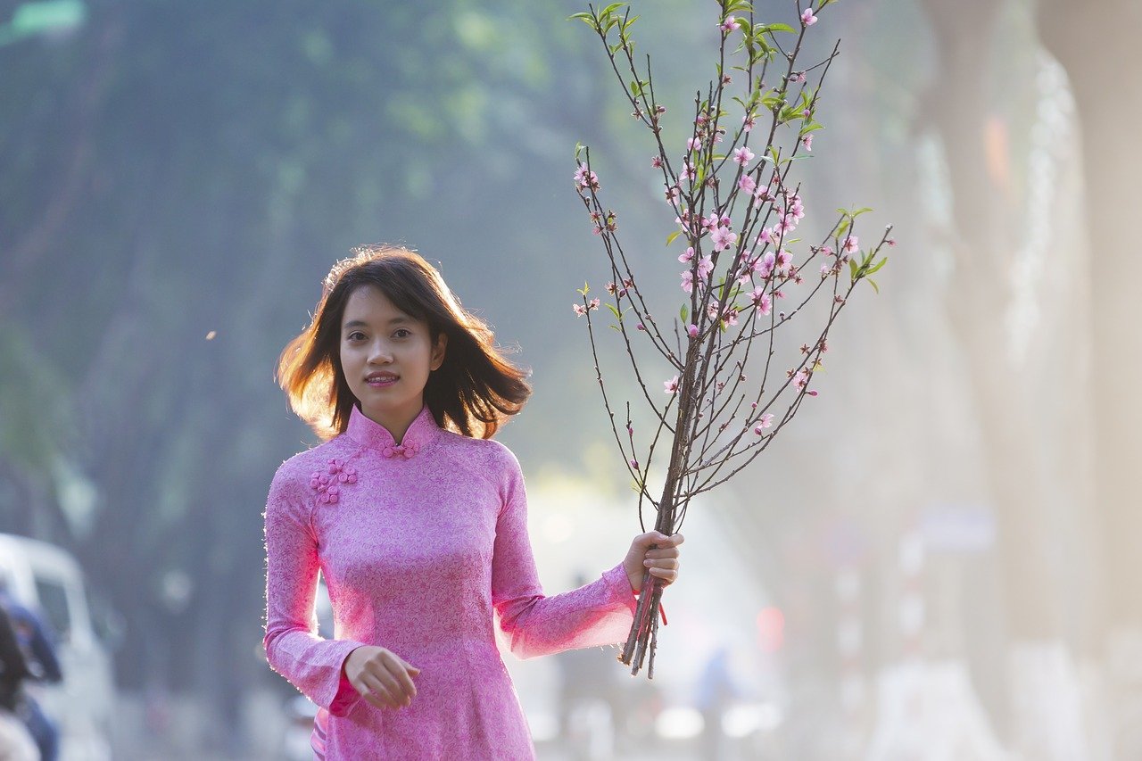 ดอกท้อที่เป็นสัญลักษณ์ของเทศกาลตรุษเต๊ตในทางภาคเหนือ ประเทศเวียดนาม ภาพ／นำมาจากคลังภาพ Pixabay