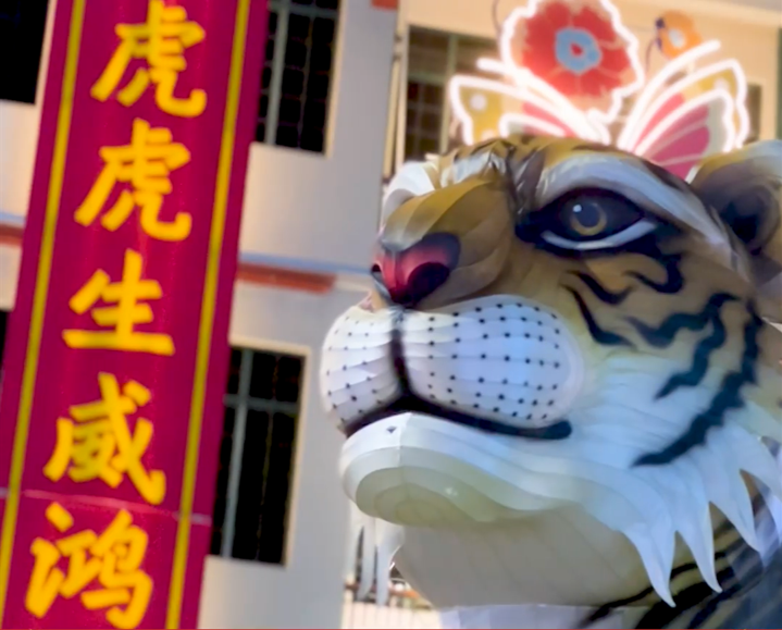 今年燈節以「虎歲生威迎新態，鴻運呈祥過好年」為核心。（圖／翻攝自Chinatown Festivals 臉書影片）