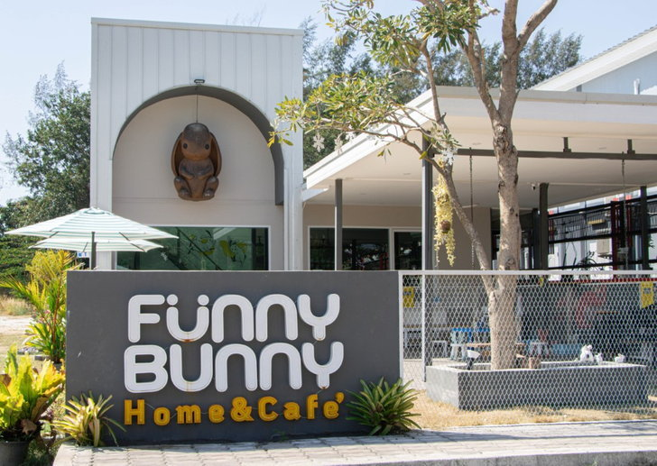 FUNNY BUNNY (ฟันนี่ บันนี่)ร้านคาเฟ่กระต่ายที่แปลว่า กระต่ายแสนสนุก เป็นร้านคาเฟ่ที่เปิดขึ้นเพื่อเลี้ยงดูกระต่ายที่ถูกทอดทิ้ง 