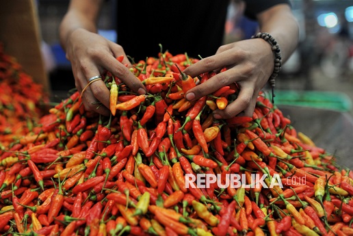 Ketika Cabai tak Lagi Pedas Akibat Perubahan Iklim