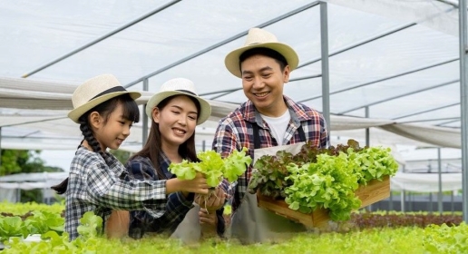 快樂農夫假日遊：帶孩子去全台9大農場當一日農夫，摘蔬果體驗樂趣無窮！