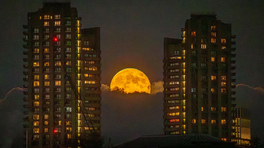 The last supermoon of the year will peak alongside the Leonid meteor shower