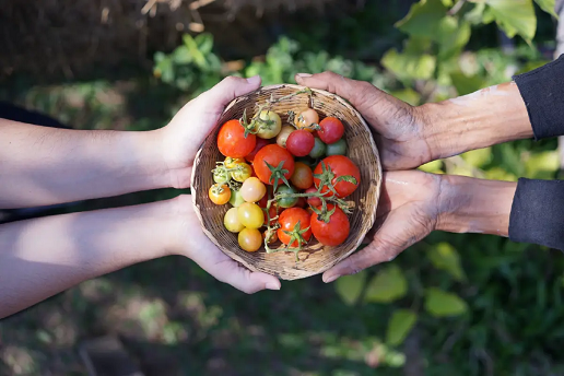 ‘Ginger Farm Kitchen’ จากฟาร์มสู่เมือง ข้าวและ ‘ผักออร์แกนิค’ สดจากไร่