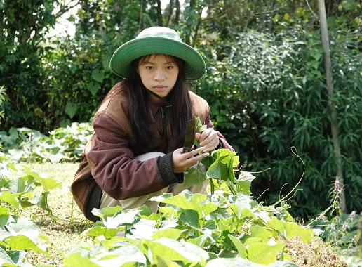 Nữ sinh Đà Lạt đi học buổi nào cũng lượm về cả bao ve chai: 'Có gì đâu xấu hổ'