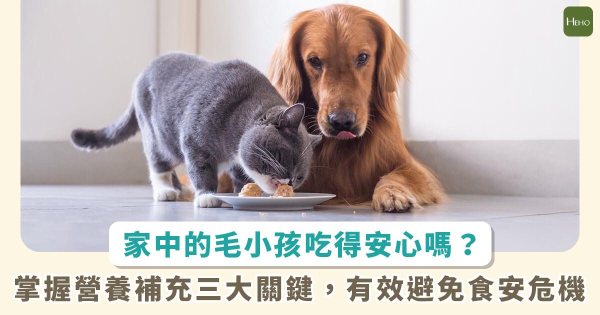 Concerns Over Pet Food Safety: Experts Share Three Tips to Ensure Your Pets' Health