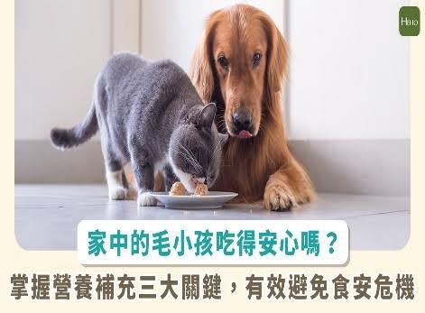 給狗狗吃的產品要衛生安全檢驗符合法定限量標準 圖/Heho健康