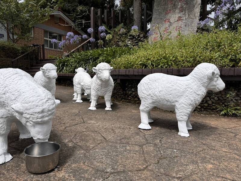 Cingjing Farm received 10 clay sheep sculptures from Taipower's Manda Power Plant, adding a new attraction to the park. (Photo / Sourced from Cingjing Farm)