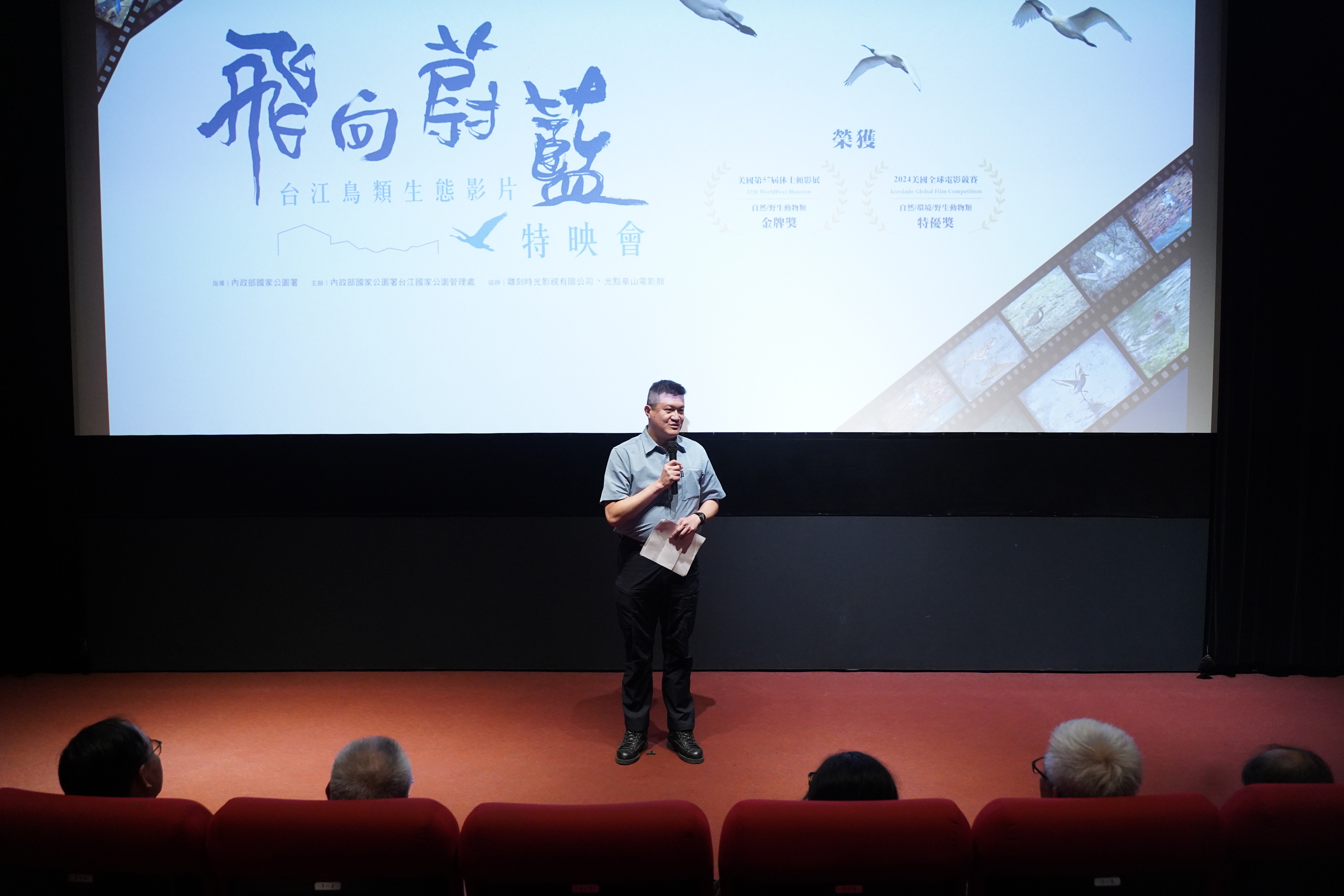 「飛向蔚藍：台江鳥類生態影片」獲國際獎項肯定