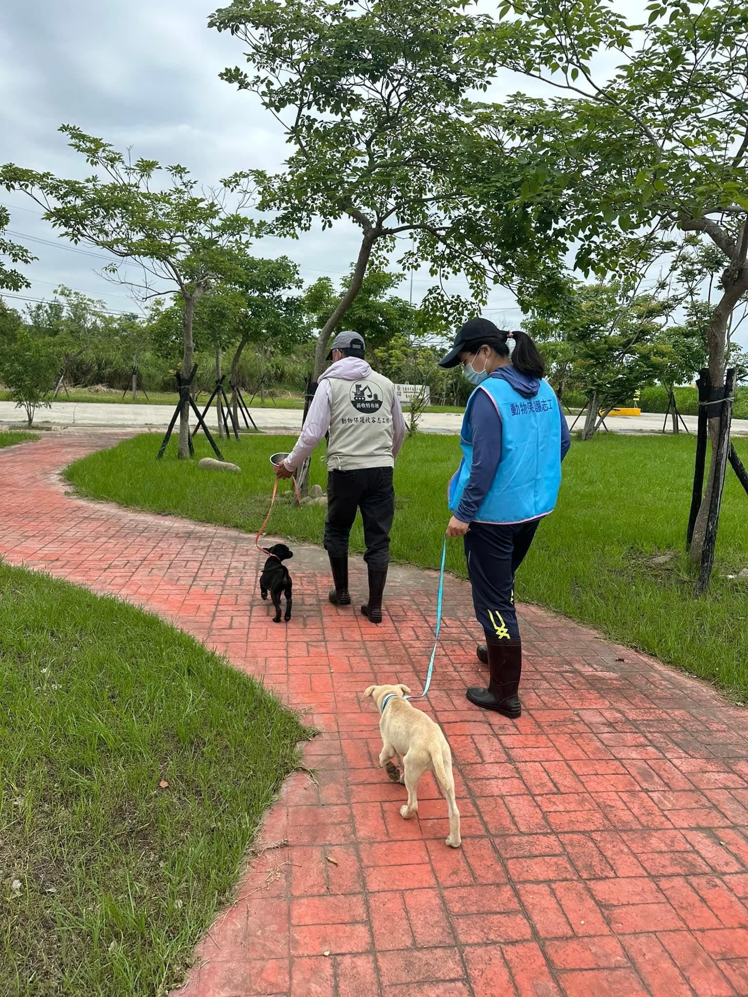 Di taman hewan peliharaan Miaoli, terdapat area berumput yang luas di mana hewan peliharaan dapat berlari bebas. (Gambar: Kantor Perlindungan dan Pencegahan Epidemi Hewan Kabupaten Miaoli)