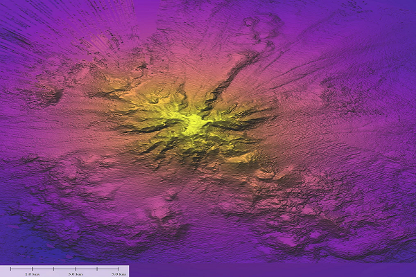 New Seamount Unveils Rare Ocean Creatures