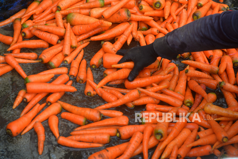 Makanan Baik untuk Mata tak Hanya Wortel, Ini Rekomendasi Lain Menurut Pakar