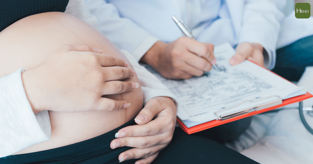 胎兒性別決定 及 預測解析