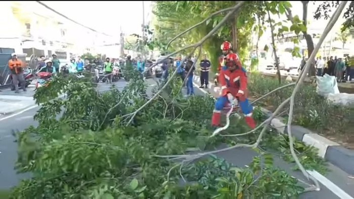 ภาพ: ช่วงเวลาอพยพงูหลามยาว 2 เมตรใน Tanjung Priok (ภาพ: Special Doc.)