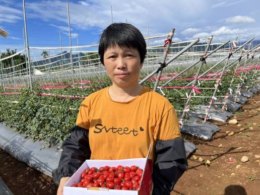 林芬的100芬無毒果園：看見共好，也把人生活得更好