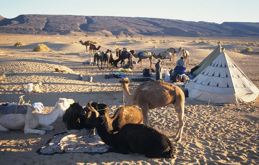 The gigantic dunes rising up out of the world's oldest desert