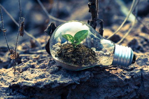 The Rise of Green Finance in the UK: How Sustainability Drives Capital Market Innovation